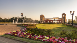 Curitiba com Trem pela Serra do Mar e Ilha do Mel 
